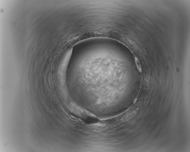 X0000087590817200705041506