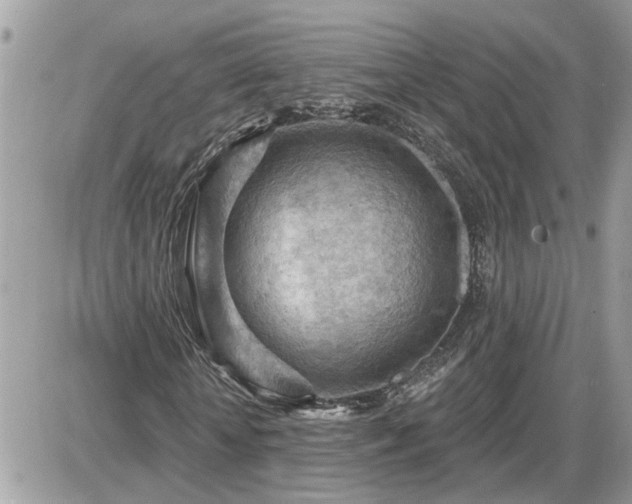 X0000087590818200705041506