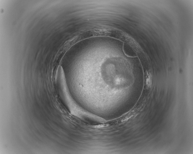 X0000087590819200705041506