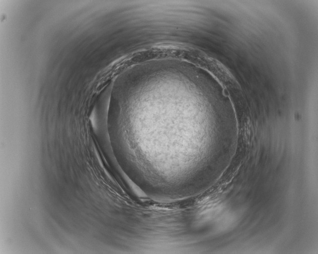 X0000087590821200705041506