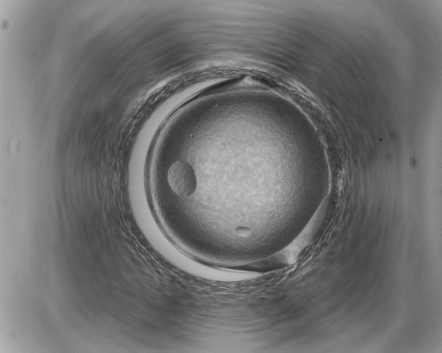 X0000087590822200705041506