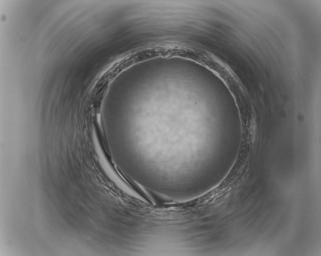 X0000087590823200705041506