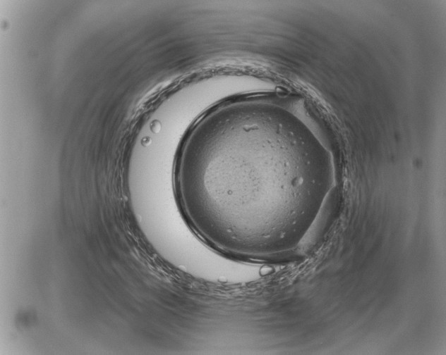 X0000087590824200705041507