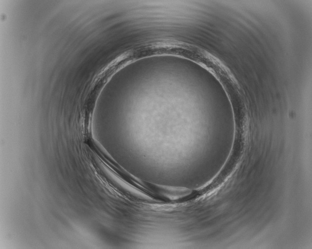 X0000087590825200705041507