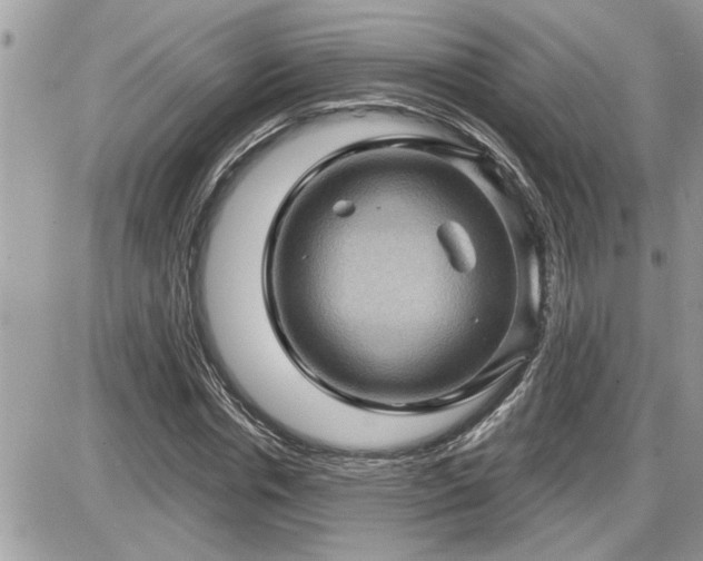 X0000087590826200705041507