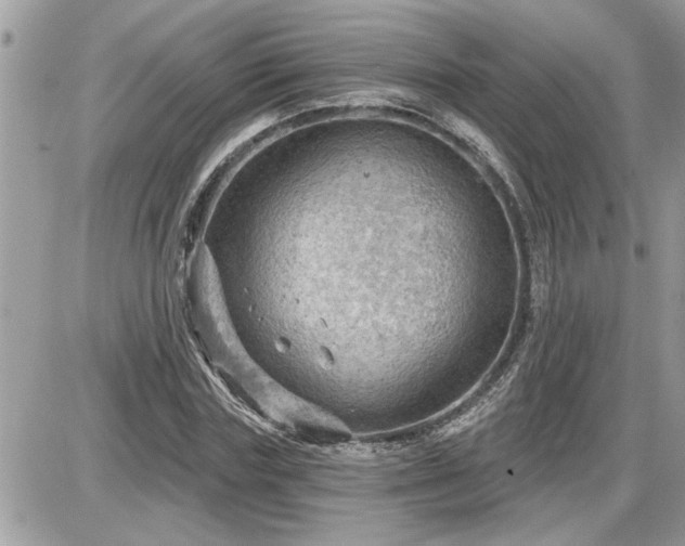 X0000087590827200705041507