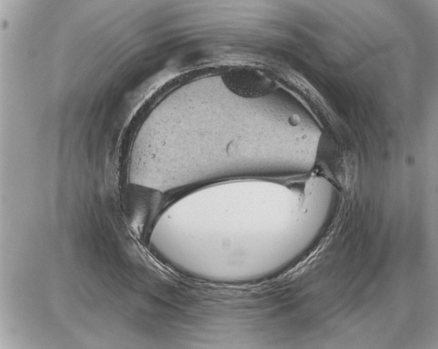 X0000087590828200705041507