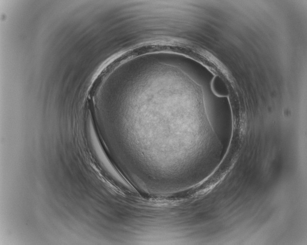 X0000087590829200705041507