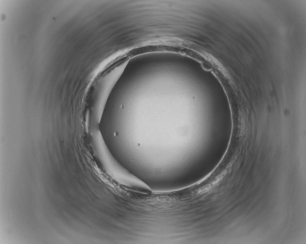 X0000087590830200705041507