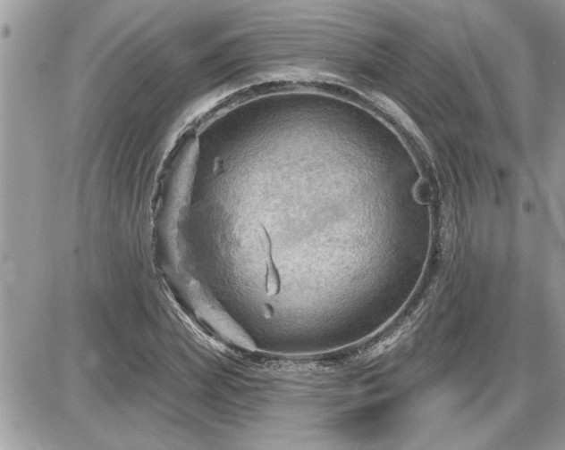 X0000087590831200705041507