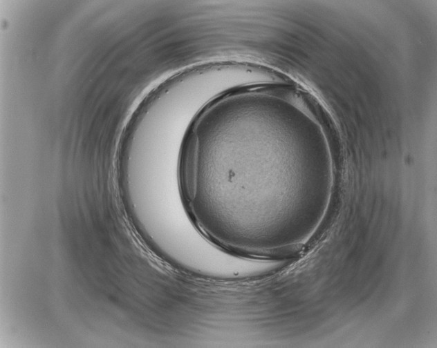 X0000087590832200705041507