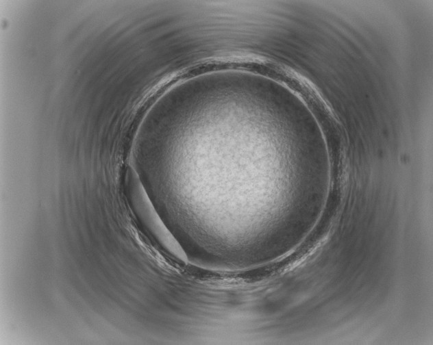 X0000087590833200705041507