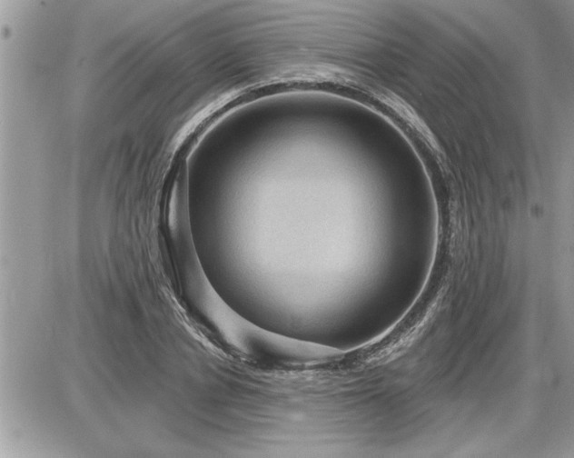 X0000087590834200705041507