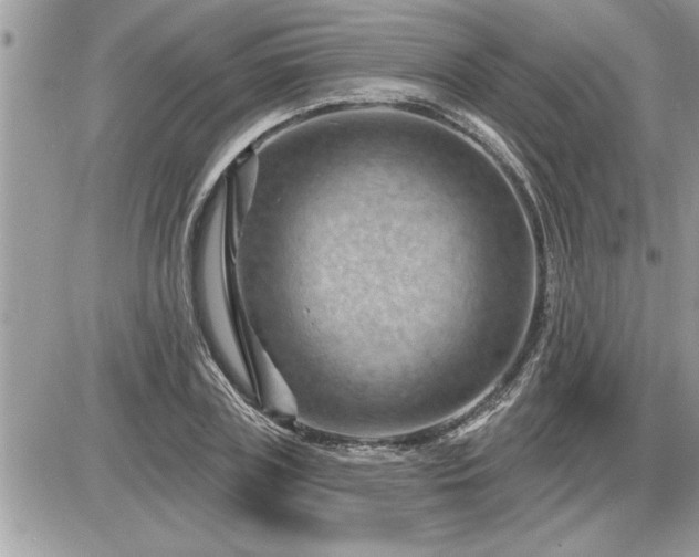 X0000087590835200705041507