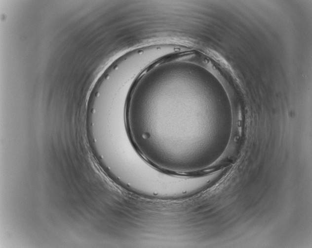 X0000087590836200705041507