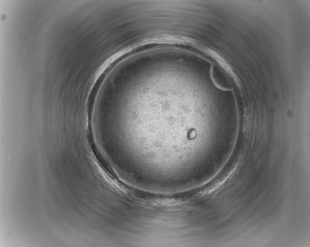 X0000087590837200705041507