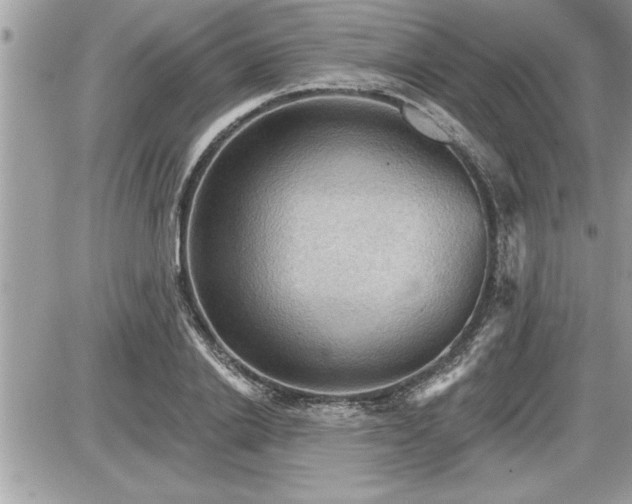 X0000087590838200705041507