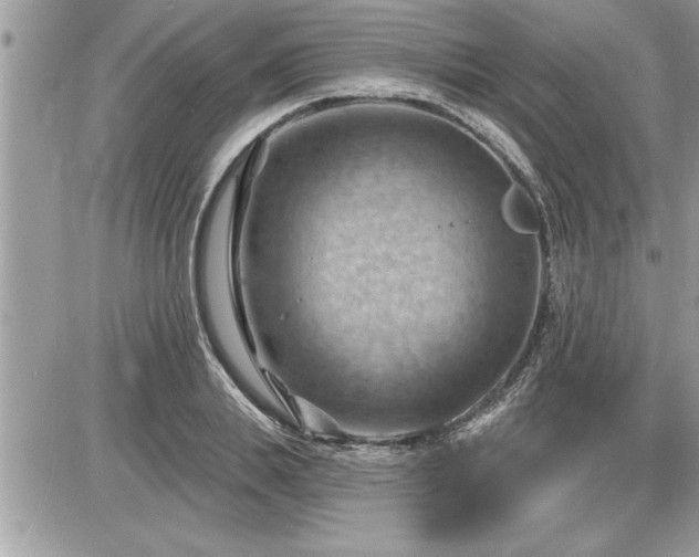 X0000087590839200705041507