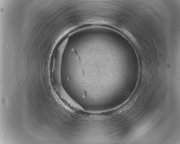 X0000087590840200705041507