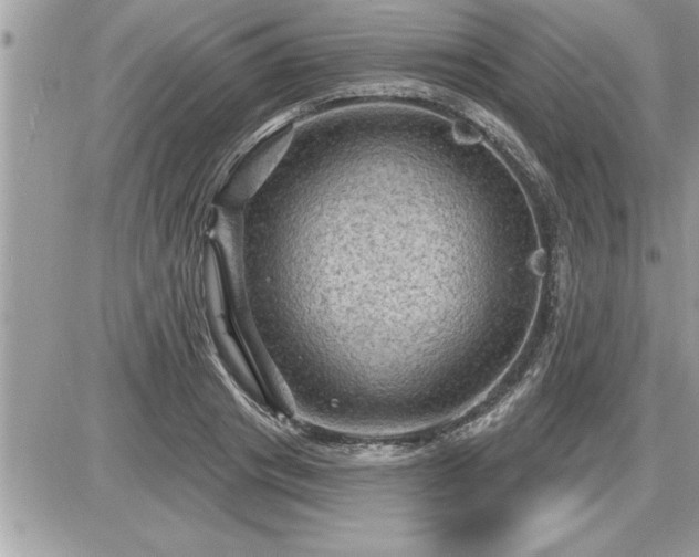 X0000087590841200705041507