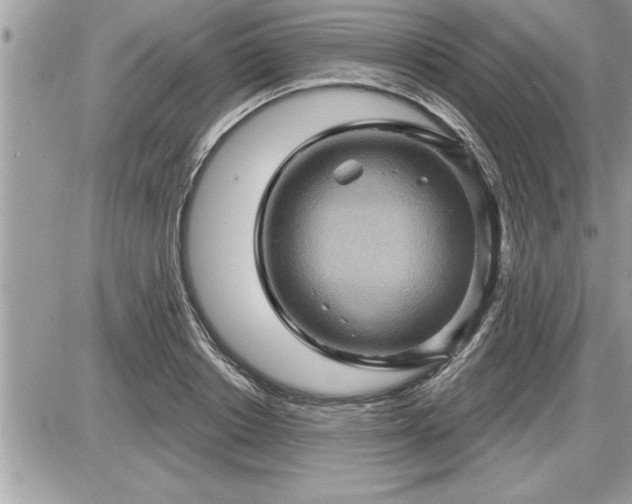 X0000087590842200705041507