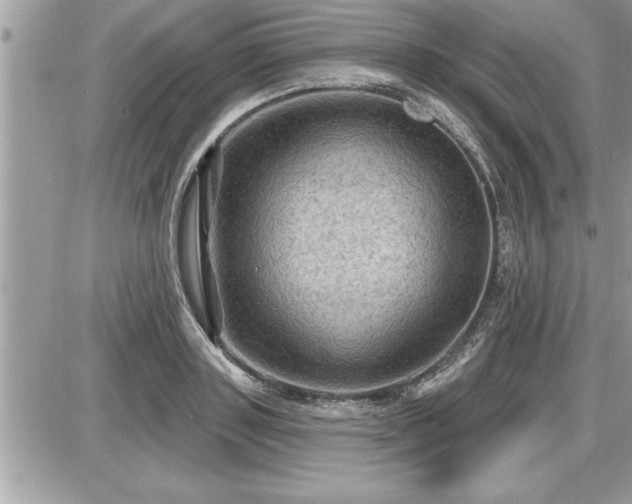 X0000087590843200705041507