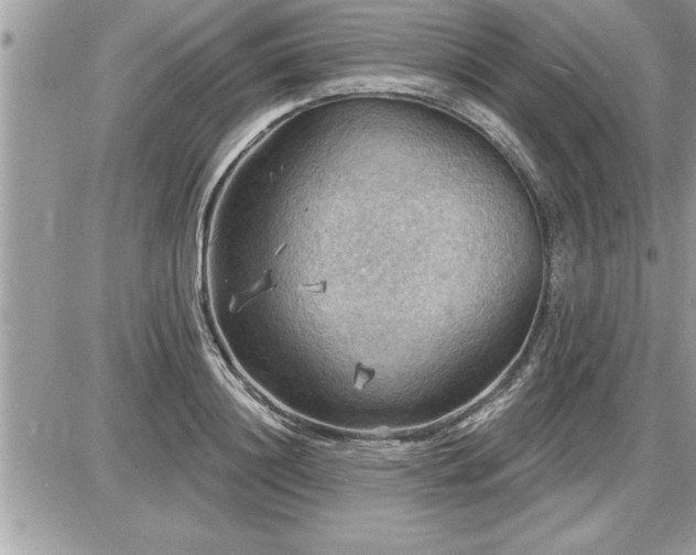 X0000087590844200705041507