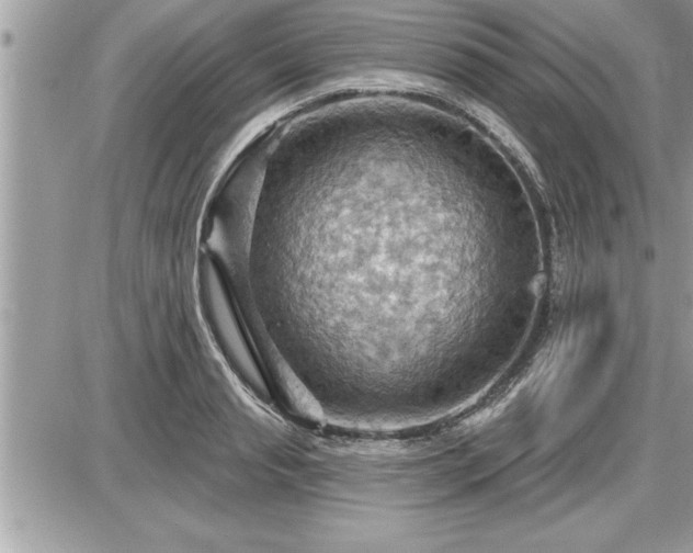 X0000087590845200705041507