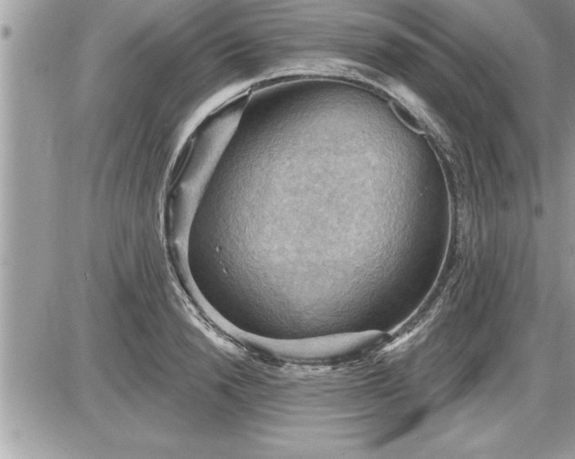 X0000087590846200705041507