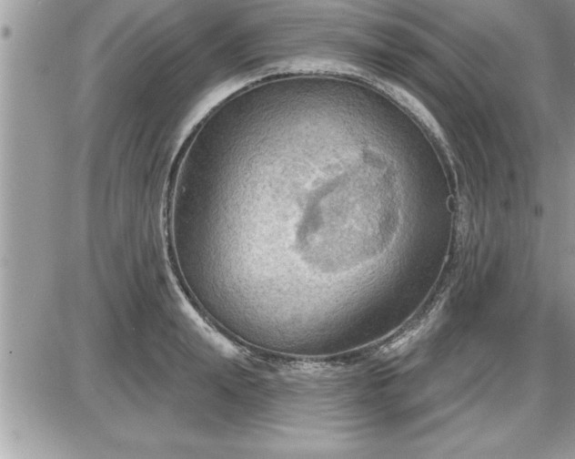 X0000087590847200705041507