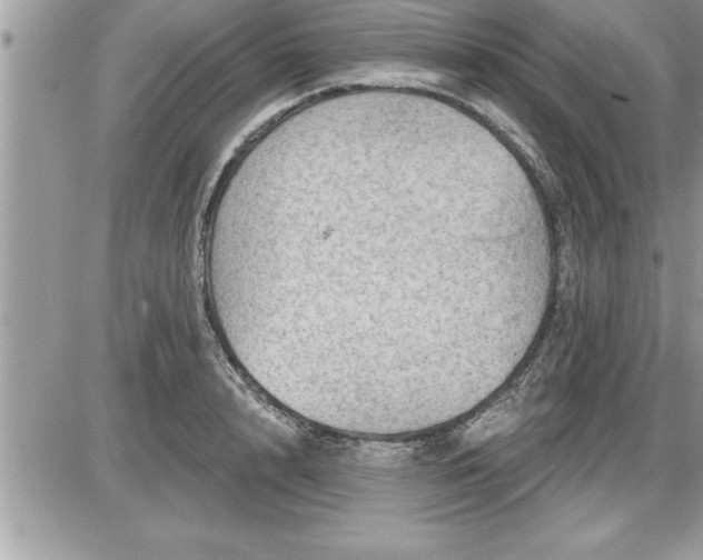 X0000087590848200705041507