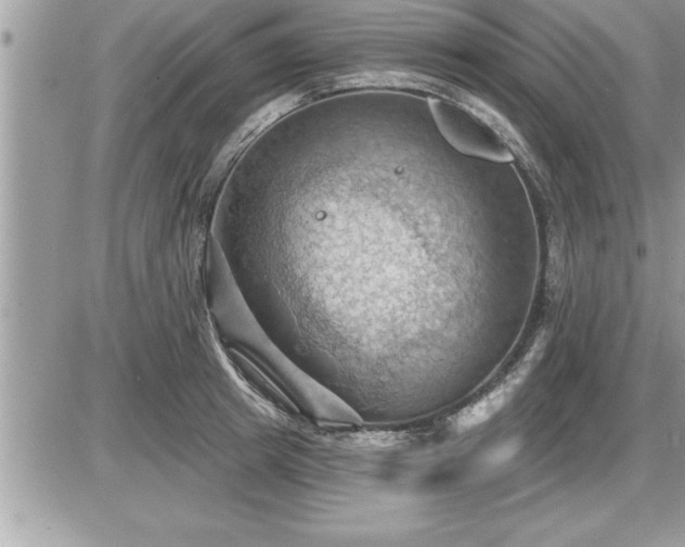 X0000087590849200705041507