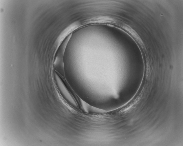 X0000087590850200705041507