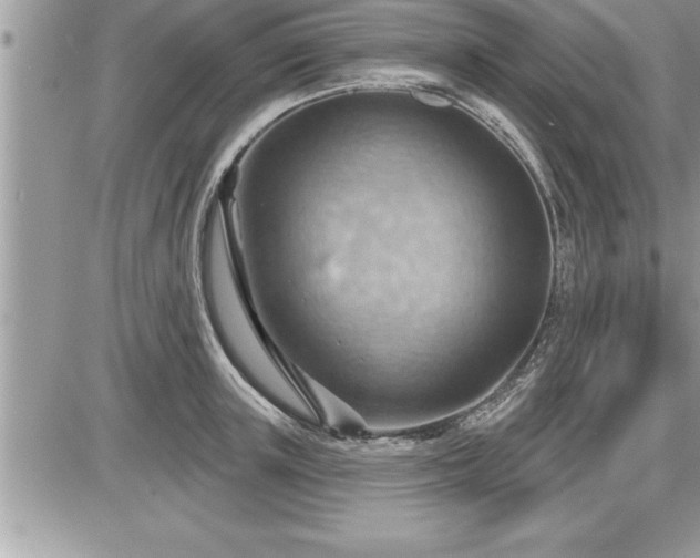 X0000087590851200705041507