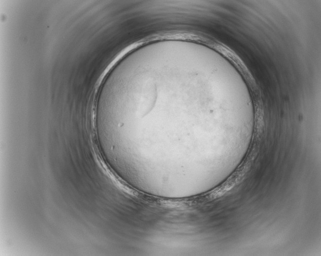 X0000087590852200705041507