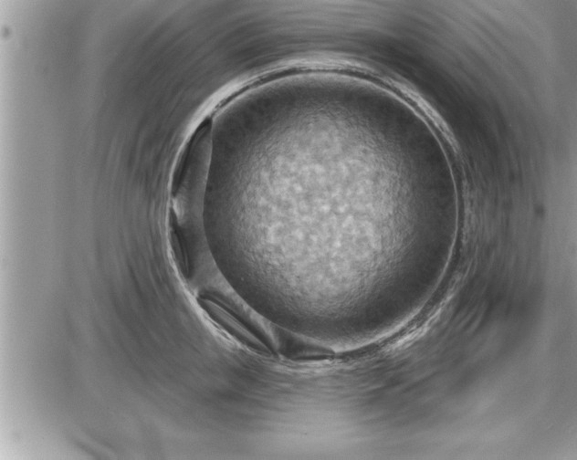 X0000087590853200705041507