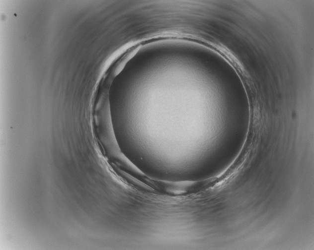 X0000087590854200705041507