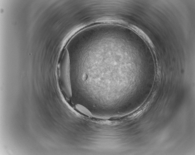 X0000087590855200705041507