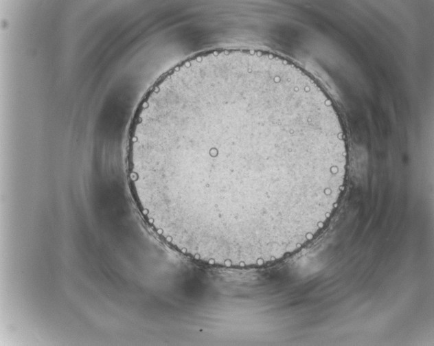 X0000087590856200705041507