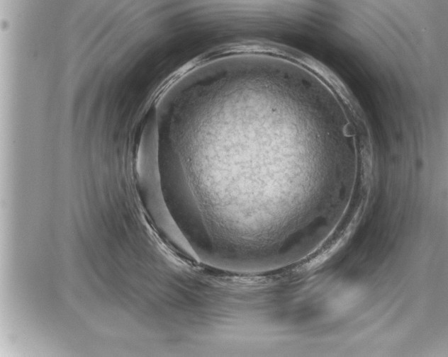 X0000087590857200705041507