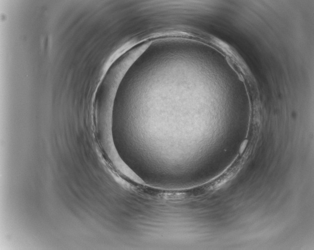 X0000087590858200705041507