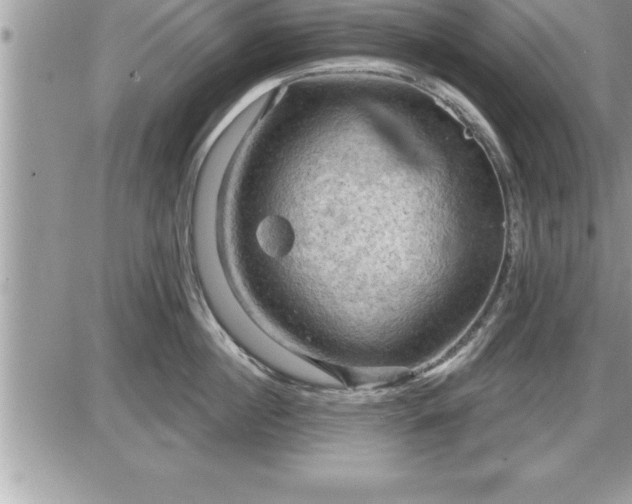 X0000087590860200705041507