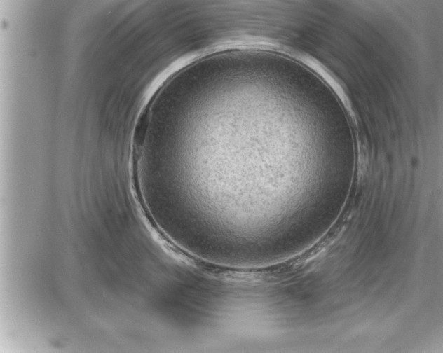 X0000087590861200705041507