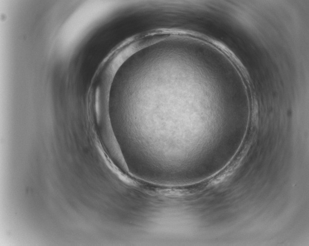 X0000087590862200705041507