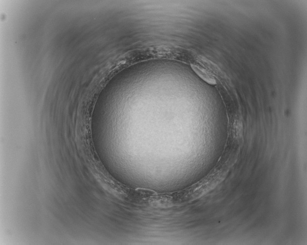 X0000087590865200705041506