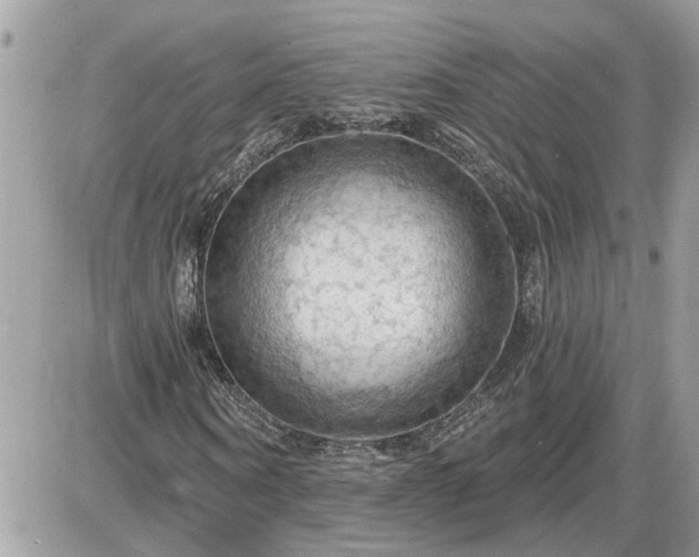 X0000087590866200705041506