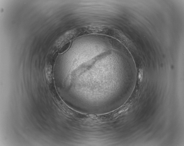 X0000087590867200705041506