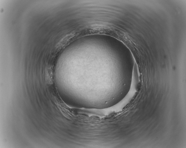 X0000087590868200705041506