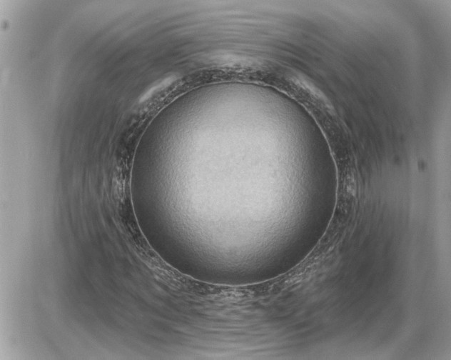 X0000087590869200705041506