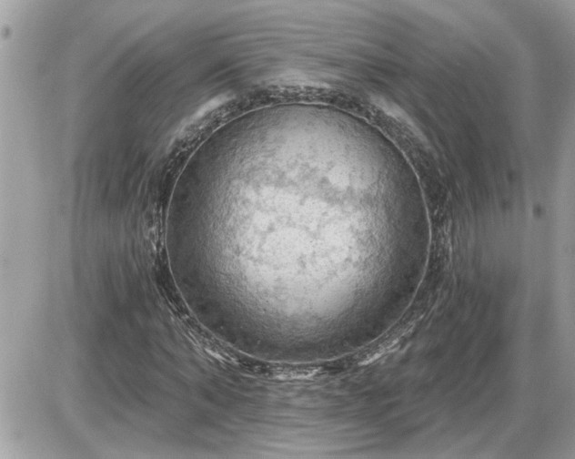 X0000087590870200705041506